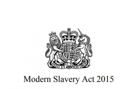 Modern Slavery Act Compliance: Why Ngoc Dong’s Social Audits Are a Shield for Your Brand
